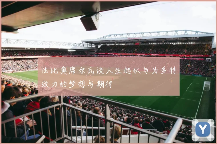 法比奥席尔瓦谈人生起伏与为多特效力的梦想与期待